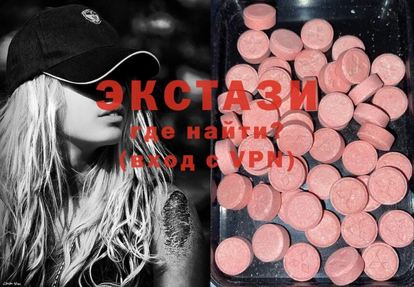 хмурый Аркадак