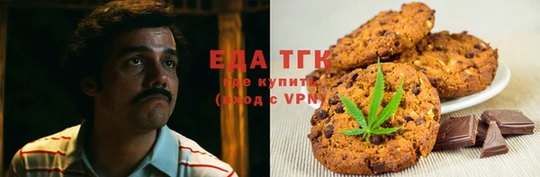 хмурый Аркадак