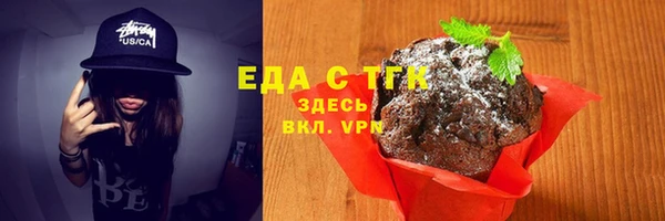 СК Новодвинск