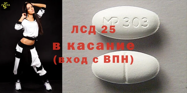 хмурый Аркадак