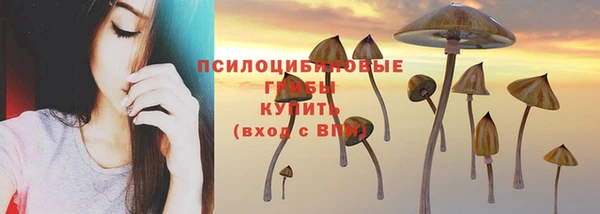 а пвп мука Арсеньев
