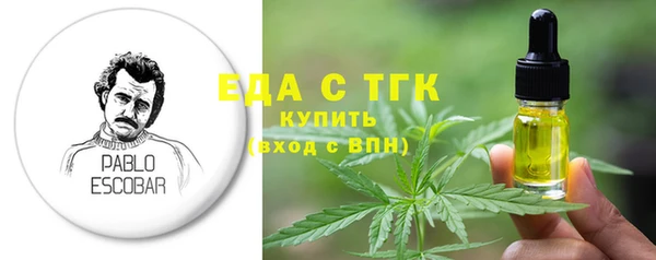 хмурый Аркадак