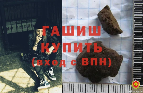 хмурый Аркадак