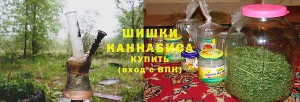 хмурый Аркадак