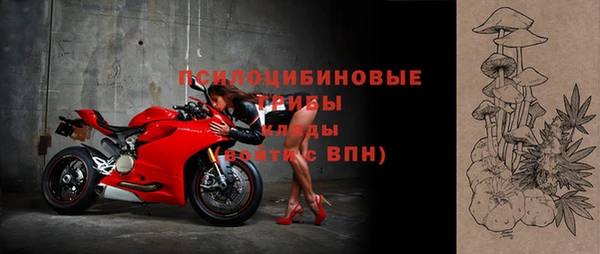 хмурый Аркадак
